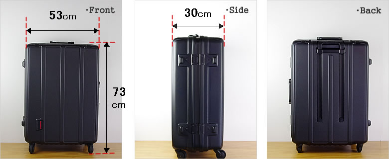 楽天市場】ブリーフィング/BRIEFING H-100 キャリーバッグ キャリー