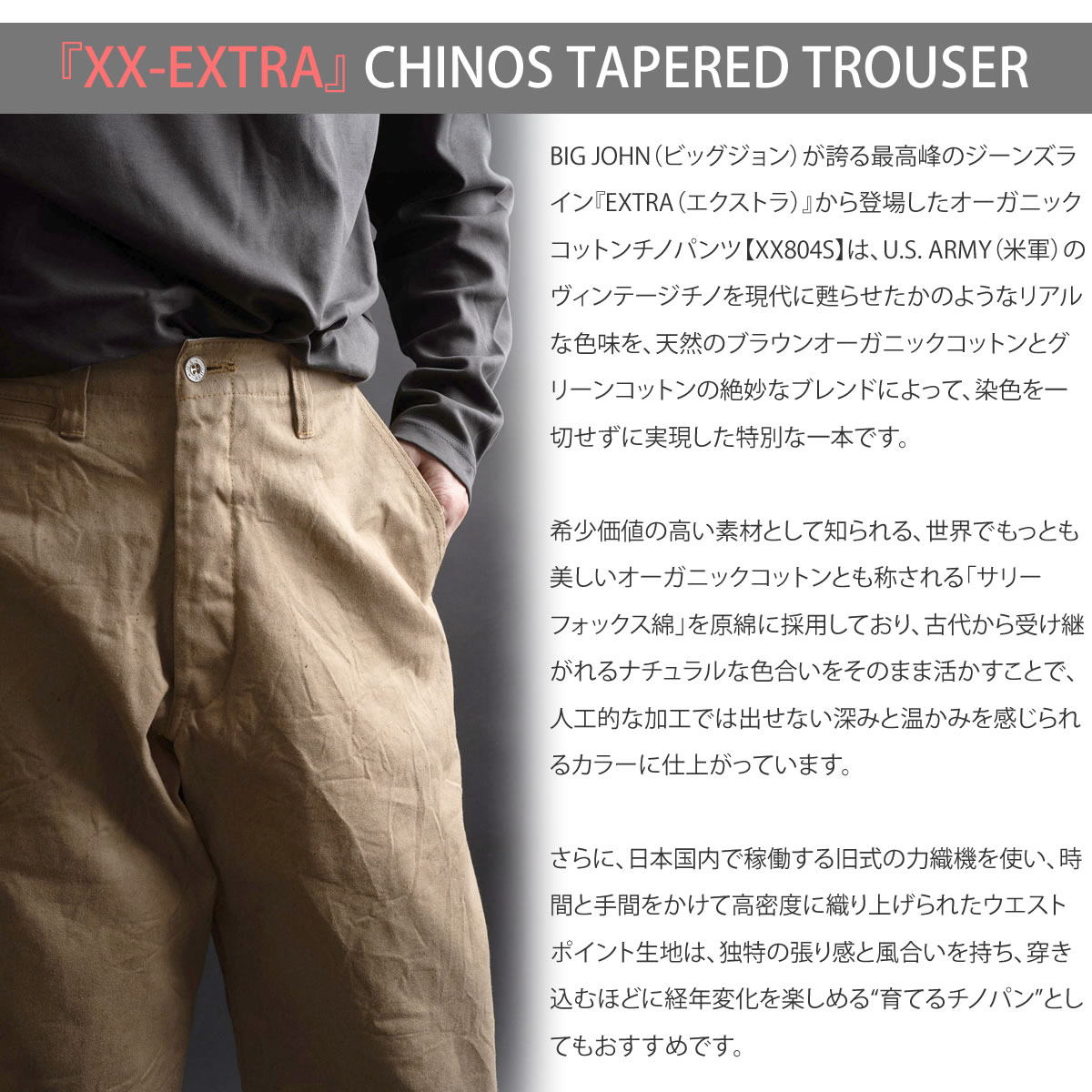 楽天市場】【茶綿「サリーフォックス」を採用】XX エクストラ チノ
