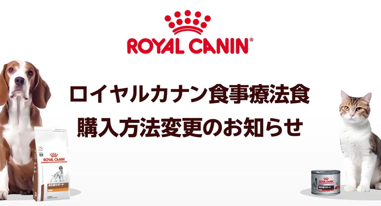 楽天市場】ロイヤルカナン 猫用 腎臓サポート ドライ(4kg)【ロイヤル