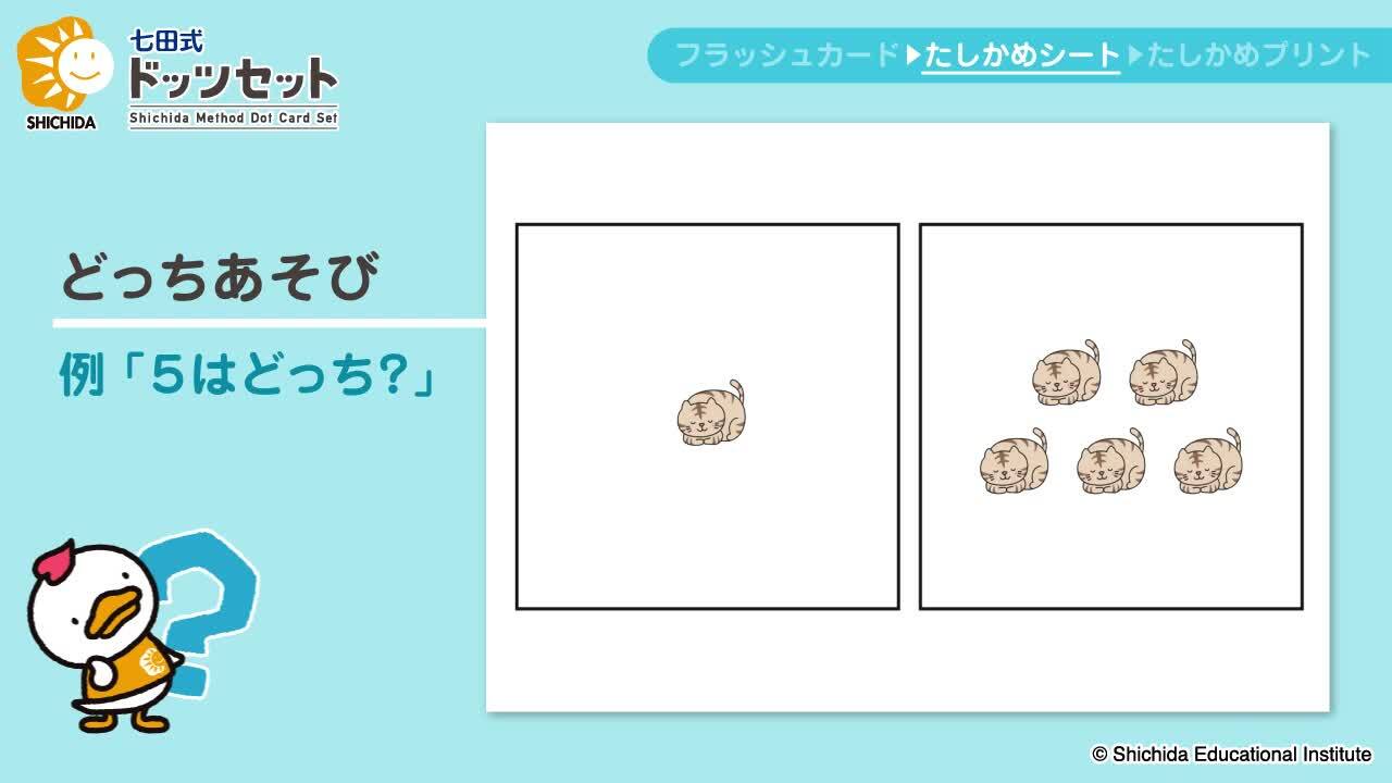 楽天市場】キッズ用教材 計算 数 数字 高速計算力を育てるフラッシュ