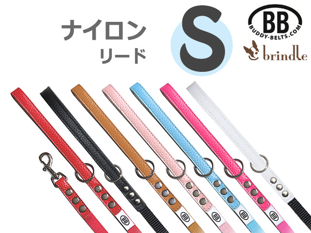 レザーアクセント・ナイロンリードSサイズ BUDDY BELTS バディーベルト