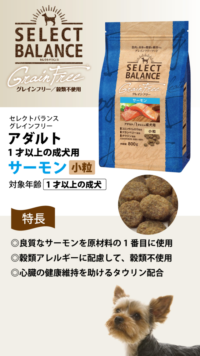 セレクトバランス グレインフリー アダルト サーモン 小粒 800g