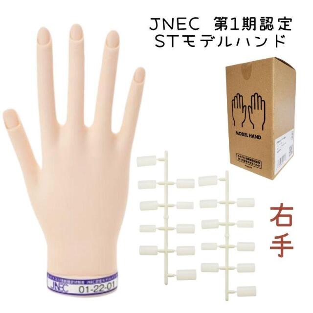 JNEC認定 STモデルハンド専用 ルースキューティクルシールS 50指付 2枚