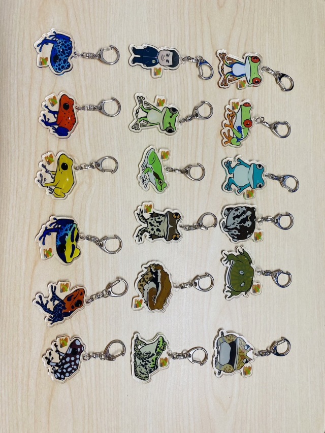 KawaZooオリジナル アクリルキーホルダー トノサマガエル