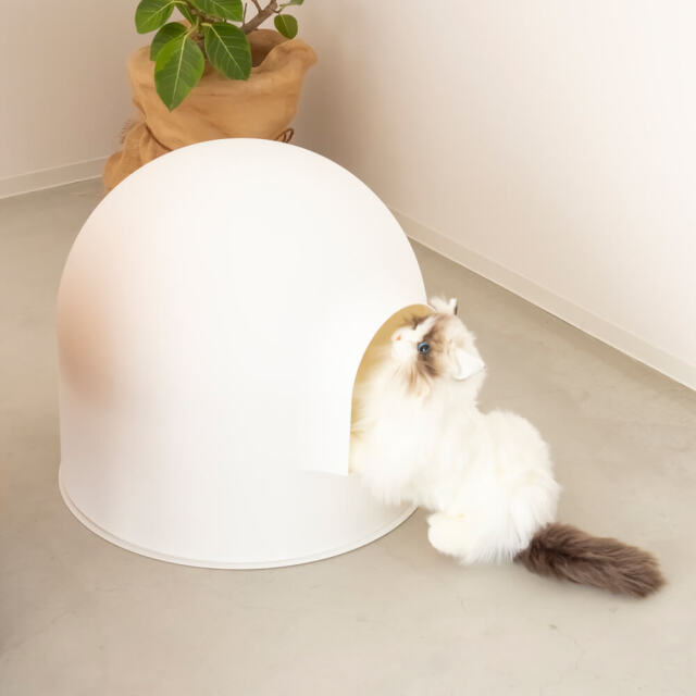 pidan（ピダン） 猫用トイレ スノードームタイプ
