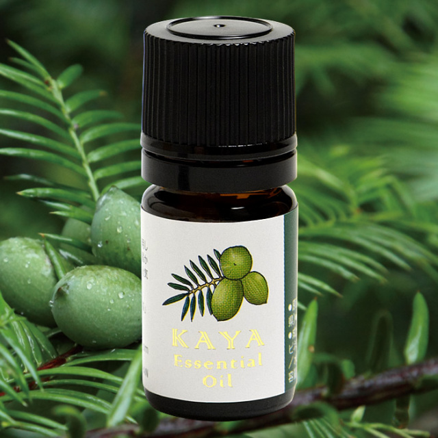 榧精油/エッセンシャルオイル（5mL）の通販【榧工房 かやの森】