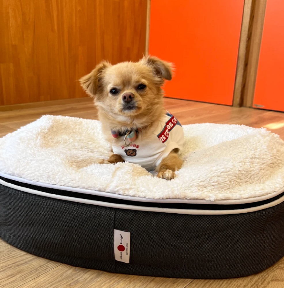 アンビエントラウンジ】プレミアムペットラウンジ Lowタイプ Sサイズ