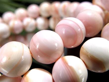 ☆激安価格！☆淡いピンクカラー☆激レア！貝の女王！クイーンコンク貝