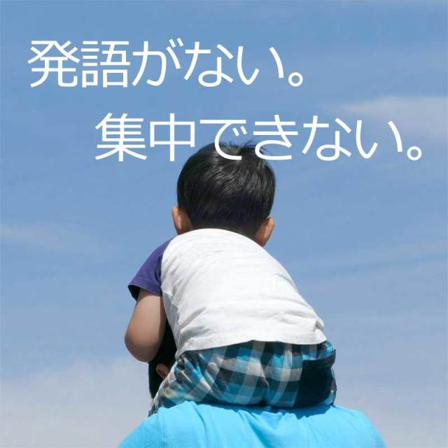 公式】視覚学習・全36巻 取り組みのヒント付 | 絵カード学習