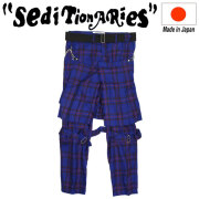 sedi-stp0002-blttn.jpg?t=