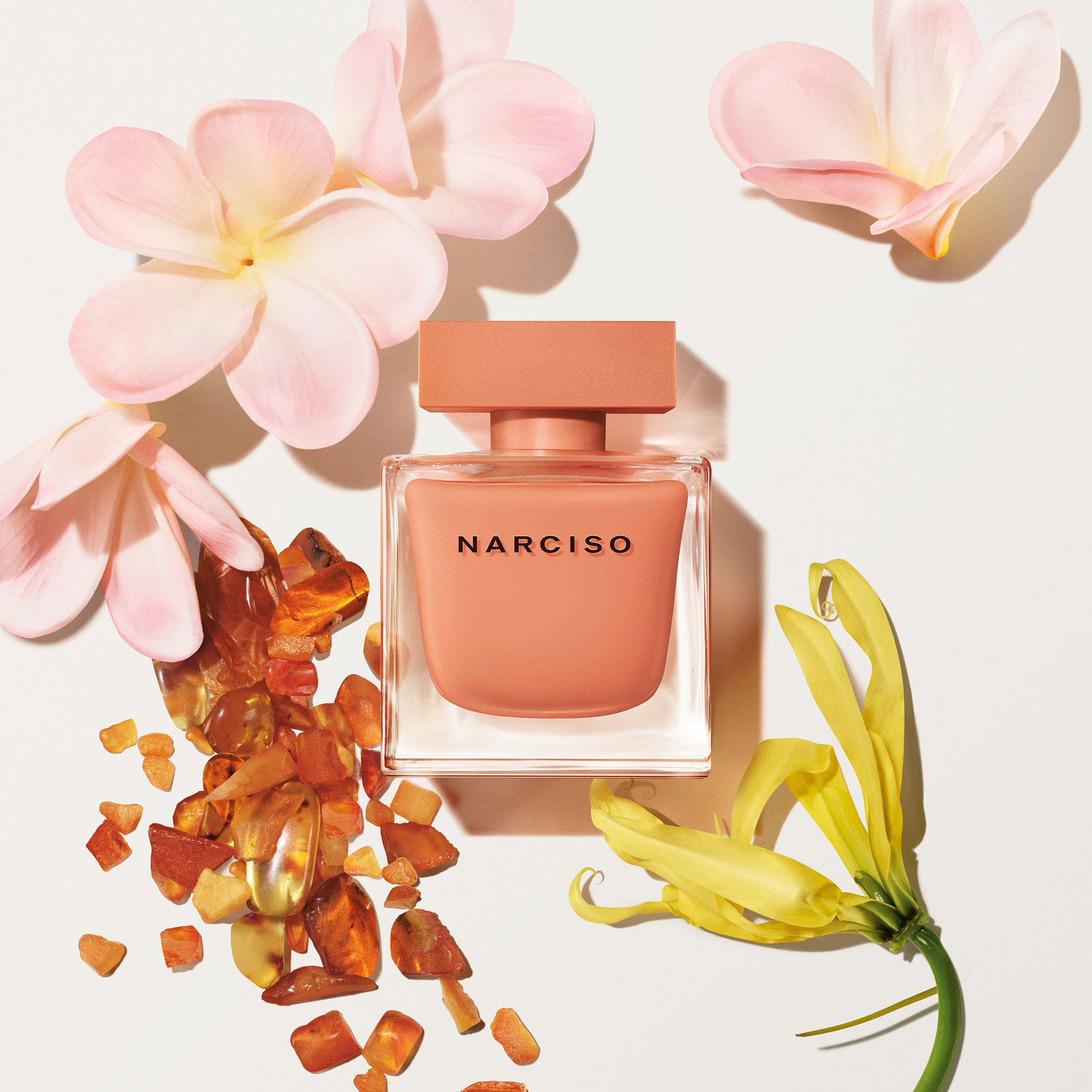 ナルシソ オードパルファム アンブレ 50mL｜香水 ・ フレグランス