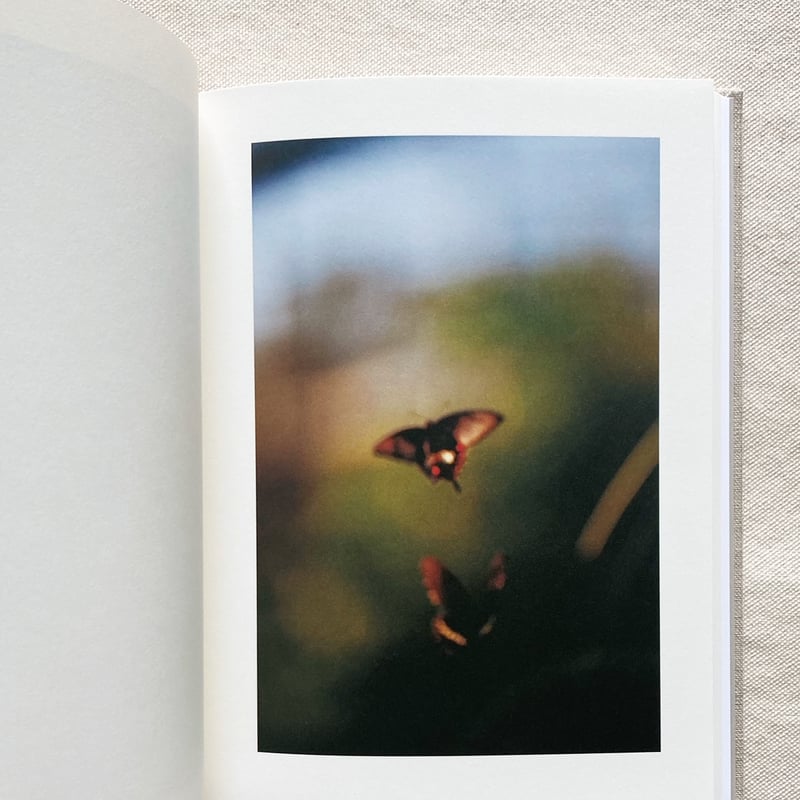 山上新平｜KANON | 曲線