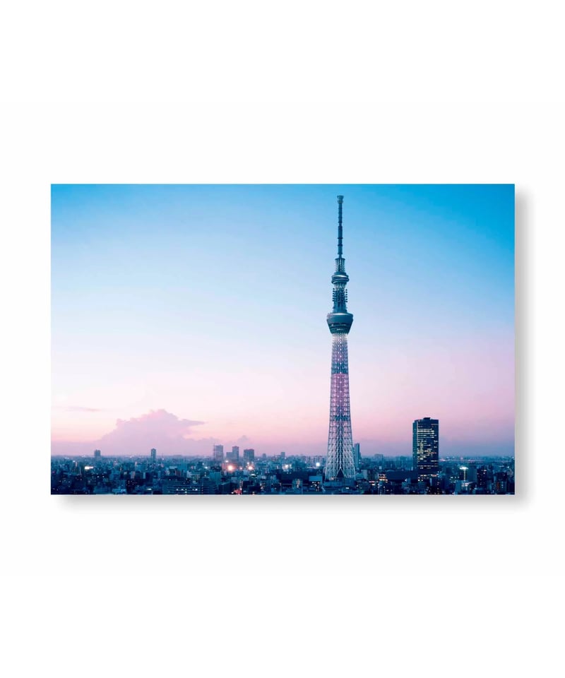TOKYO OLYMPIA｜Takashi Homma | button