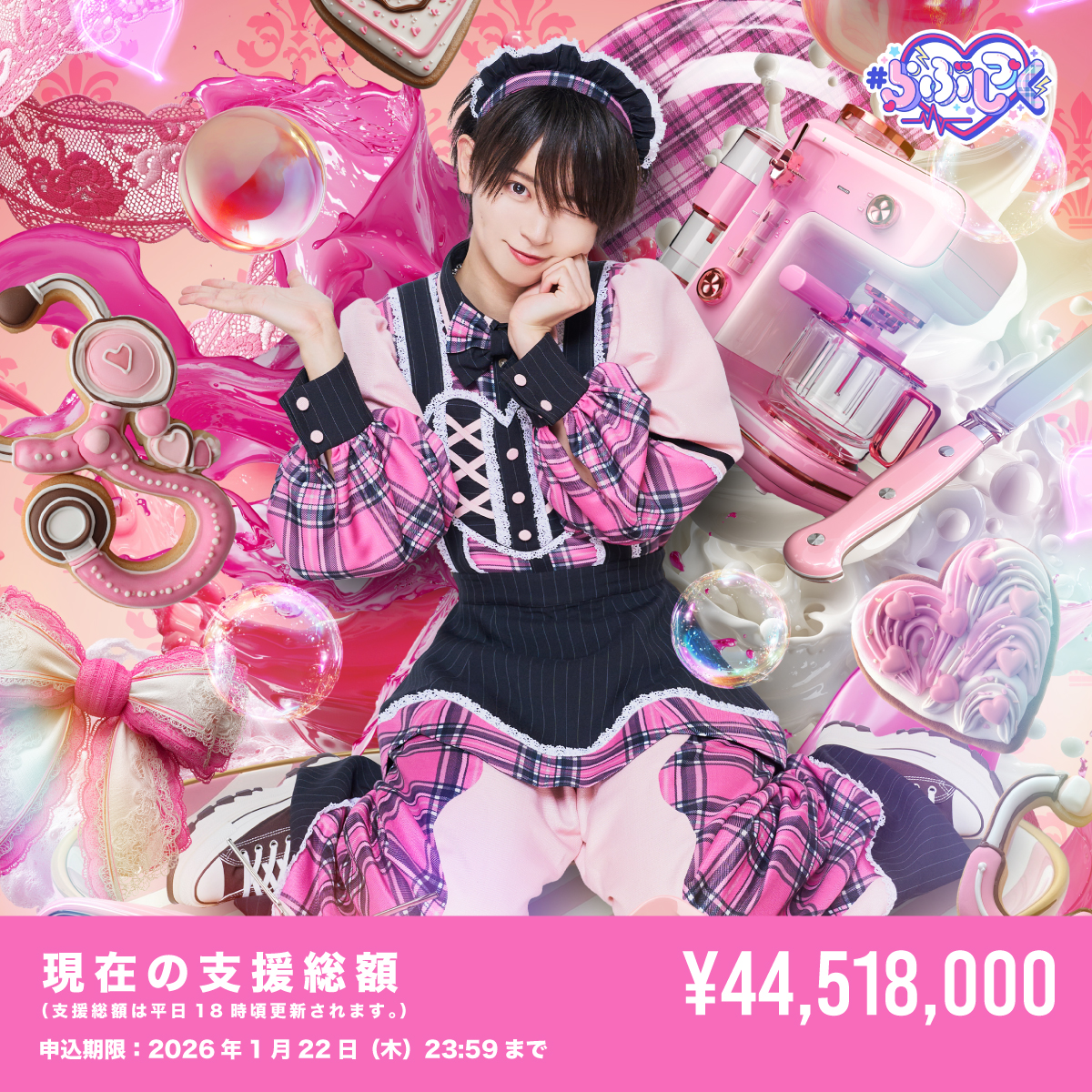 クラウドファンディング】たいよう生誕祭を盛大に開催したい