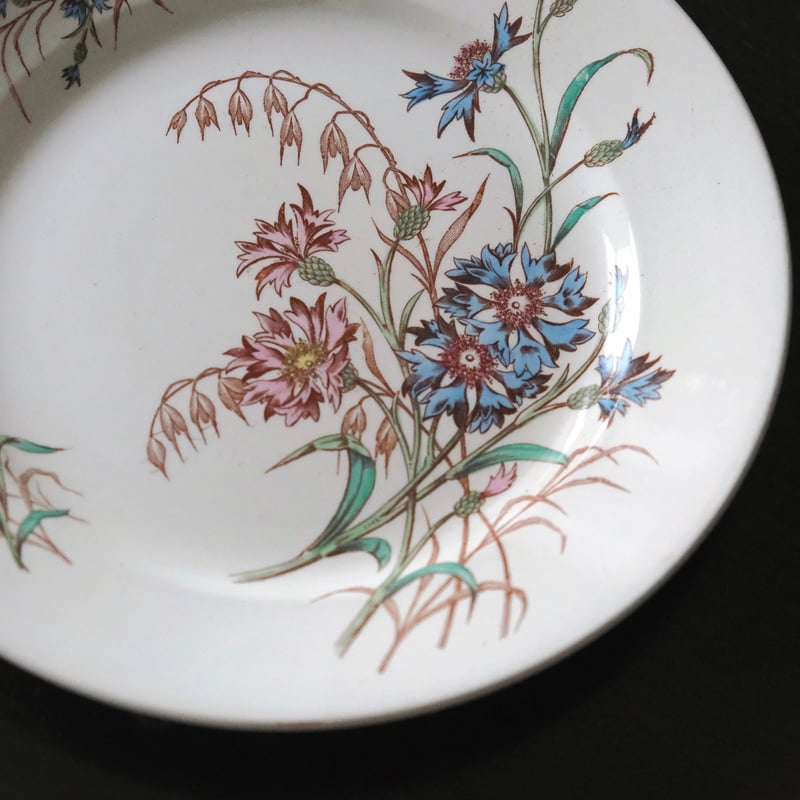 K&G Luneville リュネヴィル BLEVET ディナー皿 平皿 φ23cm フランス