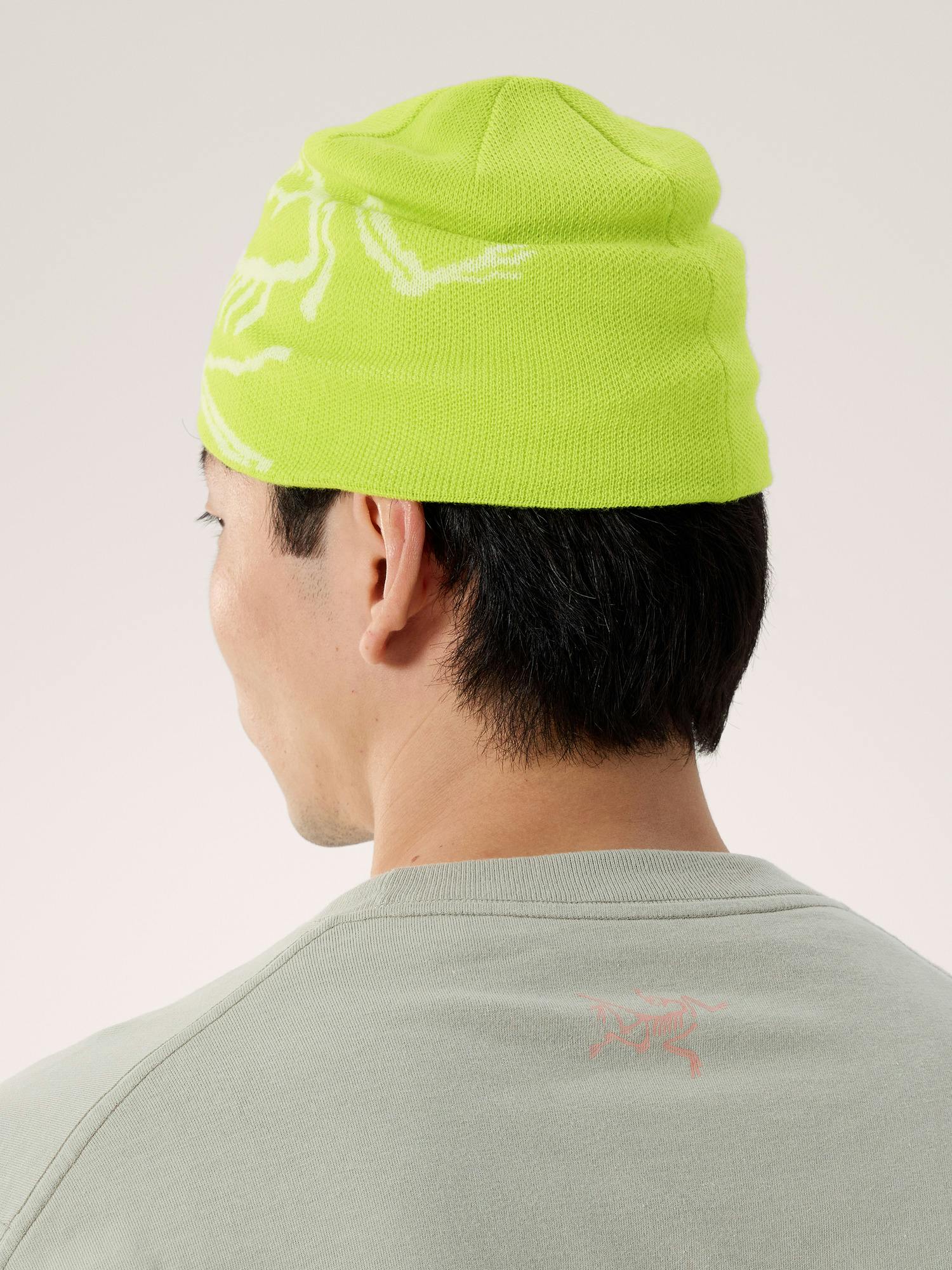 Bird Head Toque | Arc'teryx United Kingdom