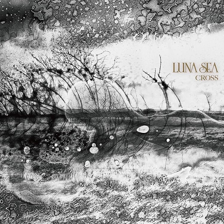 Amazon.co.jp: A WILL(初回限定盤A)(SHM-CD仕様) - LUNA SEA (Blu-ray