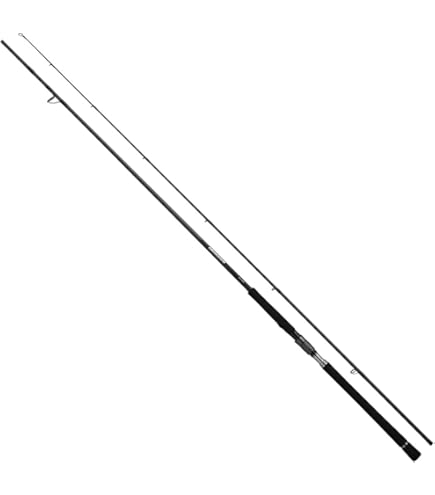 Amazon | ダイワ(DAIWA) 大型スピニングリール 24セルテート SW 4000