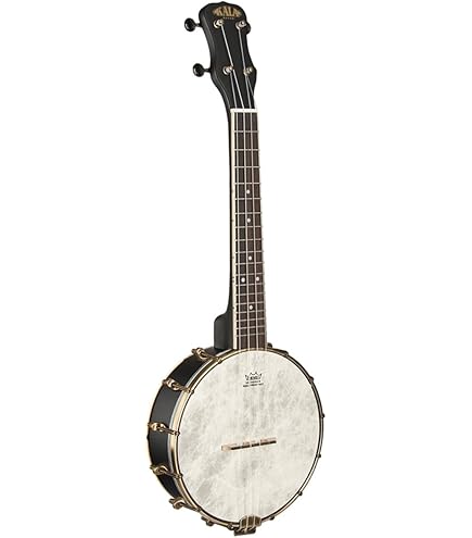 Amazon.co.jp: Blanton 6弦バンジョー(ギターバンジョー) BB-15G