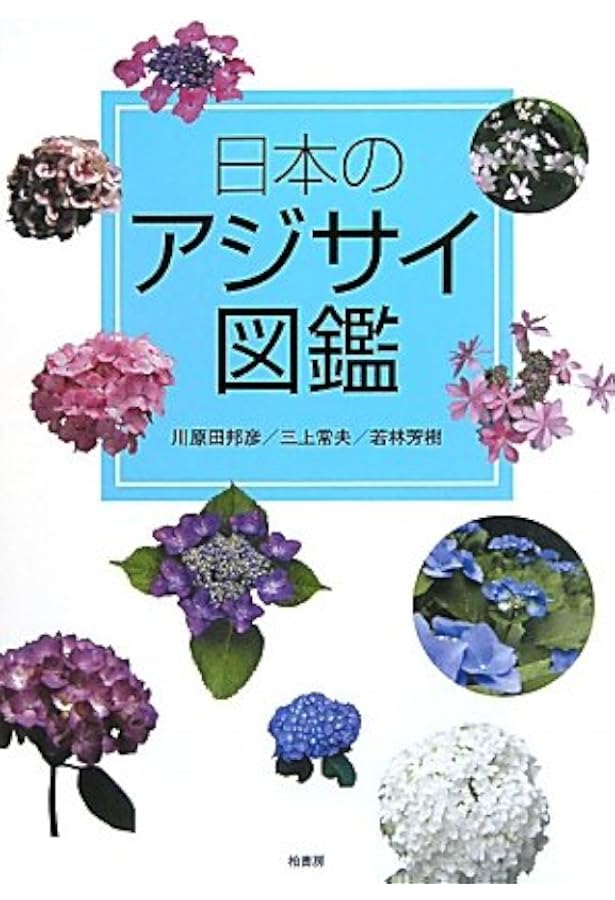 アジサイ百科―川島インデクス Hydrangea Kawashima Index | 川島 榮生