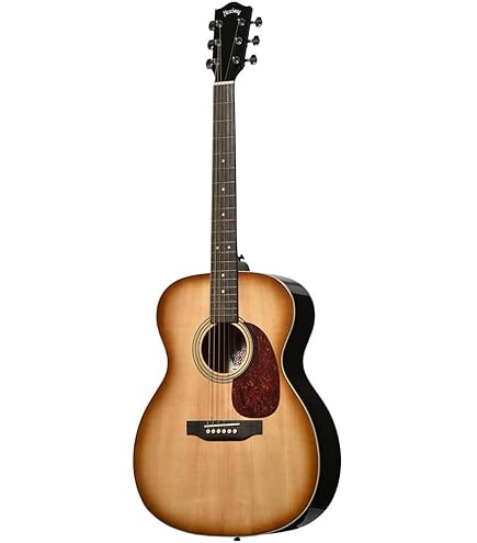 Amazon.co.jp: Headway HJ-BUDDY SB アコースティックギター