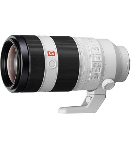 Amazon.co.jp: Sony Super Telephoto Zoom Lens Full Frame FE 200