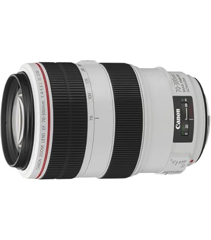 Amazon.co.jp: Canon 単焦点望遠レンズ EF300mm F2.8L IS II USM フル
