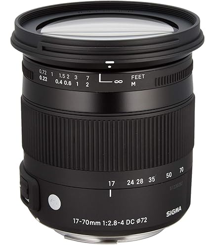 Amazon | SIGMA 標準ズームレンズ 17-50mm F2.8 EX DC OS HSM ニコン用