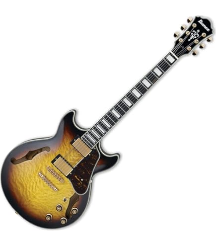 Amazon | Ibanez アイバニーズ Artcoreシリーズ スモールサイズ セミ