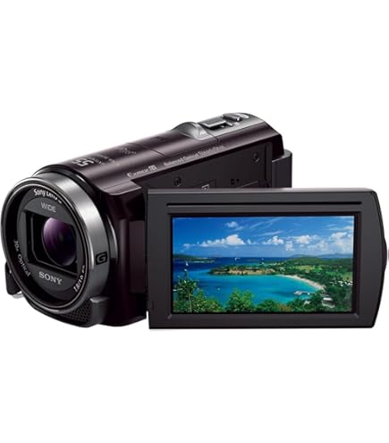 Amazon | 【整備済み品】 ソニー ビデオカメラ HDR-CX470 32GB 光学30
