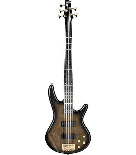 Amazon | Ibanez アイバニーズ 7弦マルチ・スケールギター RGMS7-BK