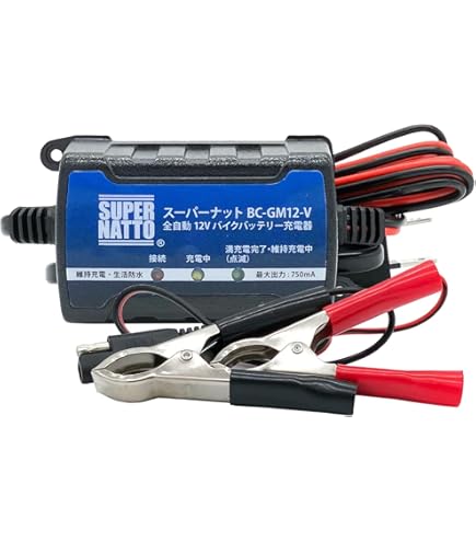 Amazon.co.jp: スカイリッチ社製リチウムイオンバッテリー用充電器