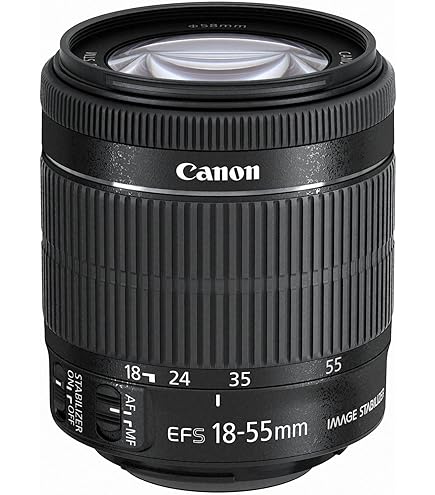 Amazon.co.jp: Canon 超広角ズームレンズ EF-S10-22mm F3.5-4.5 USM