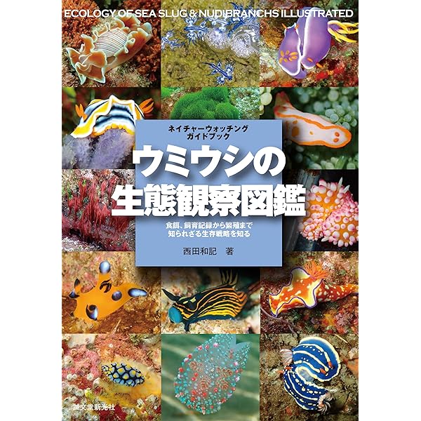 Amazon.co.jp: 新版 ウミウシ：特徴がひと目でわかる図解付き