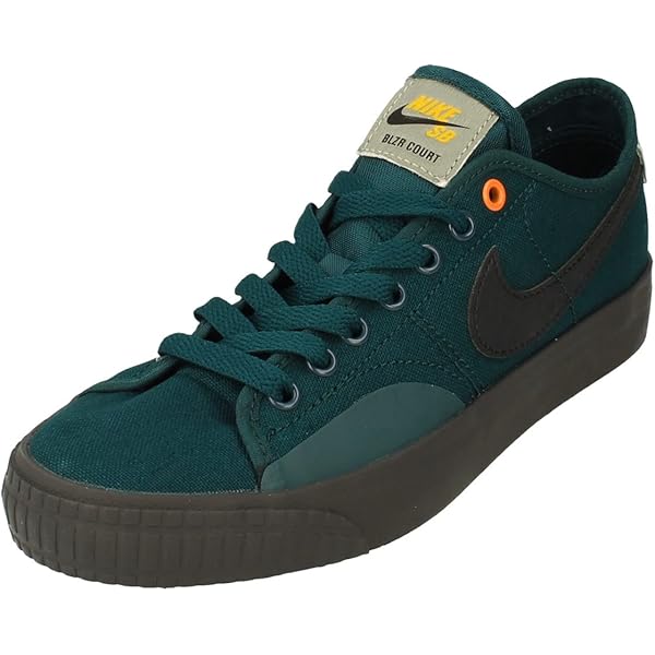 Amazon.com | Nike Men's Skateboarding Trainers Blazer Court Dvdl