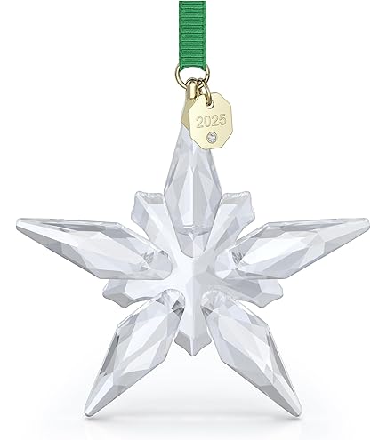 Amazon.com: SWAROVSKI 2004 Annual Christmas Snowflake Ornament