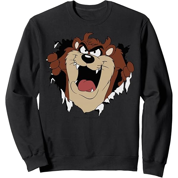 Amazon.com: Looney Tunes Tazmanian Devil Sweatshirt : Clothing