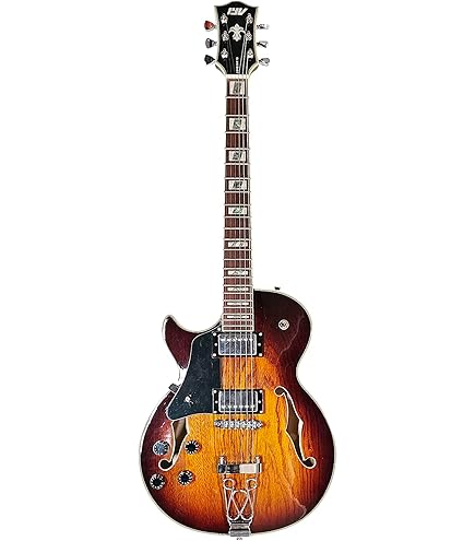 Amazon.com: AF55 Hollow Body Left-Handed Electric Guitar : Musical