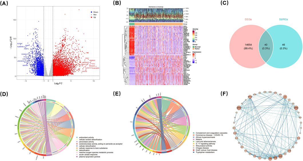 Frontiers | Identification and validation of selenium metabolism