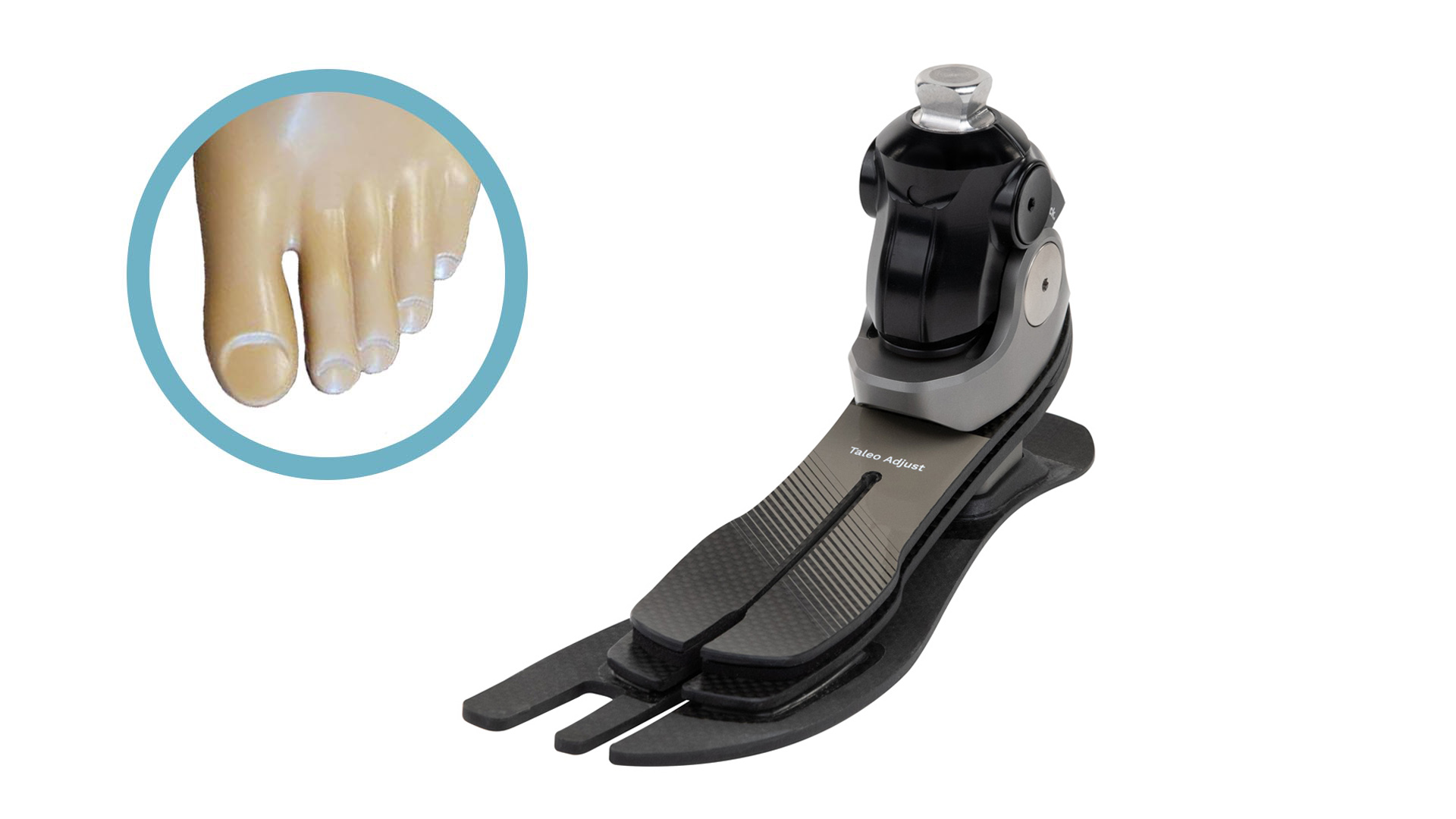 1c56_product_toe.jpg