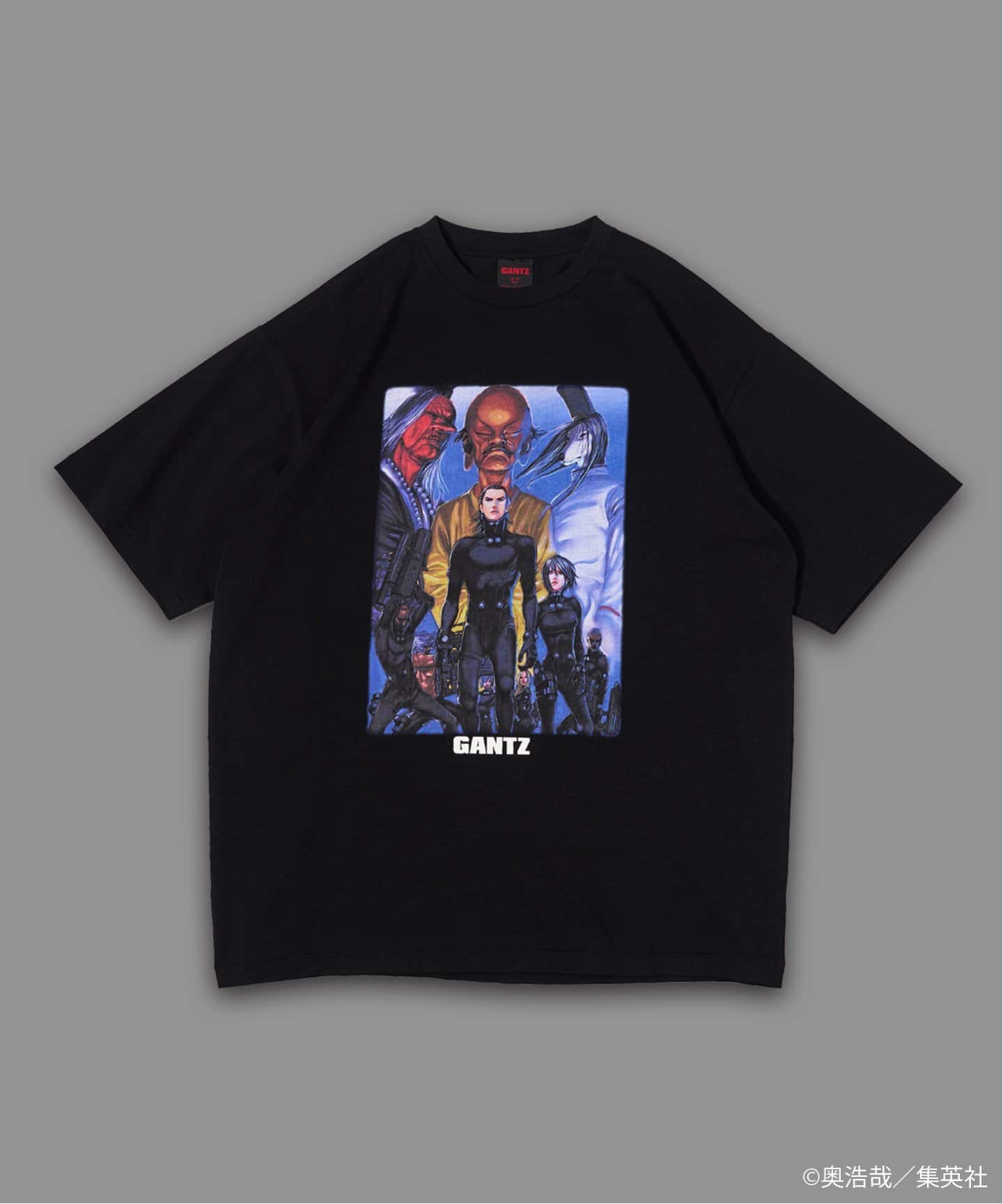 GANTZ / ガンツ 417別注 COLOR WORKS Tシャツ（Tシャツ／カットソー