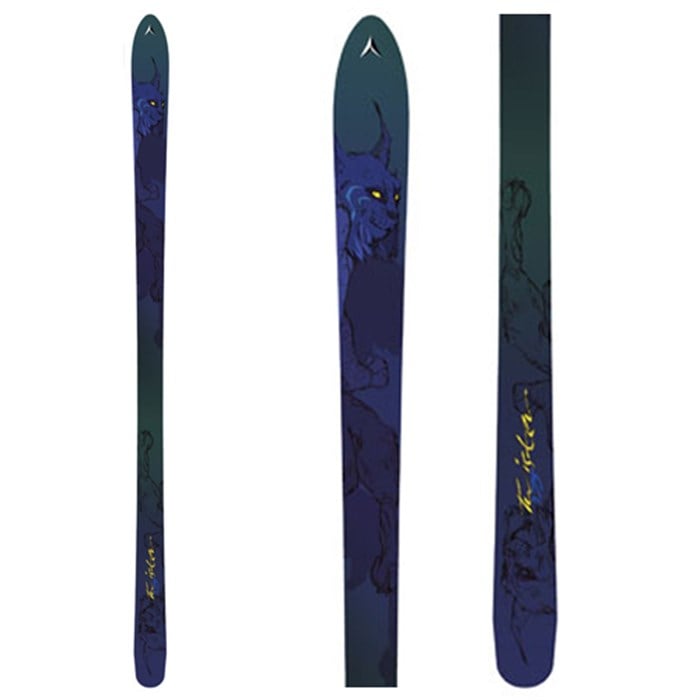 Dynastar Twister Skis 2006 | evo