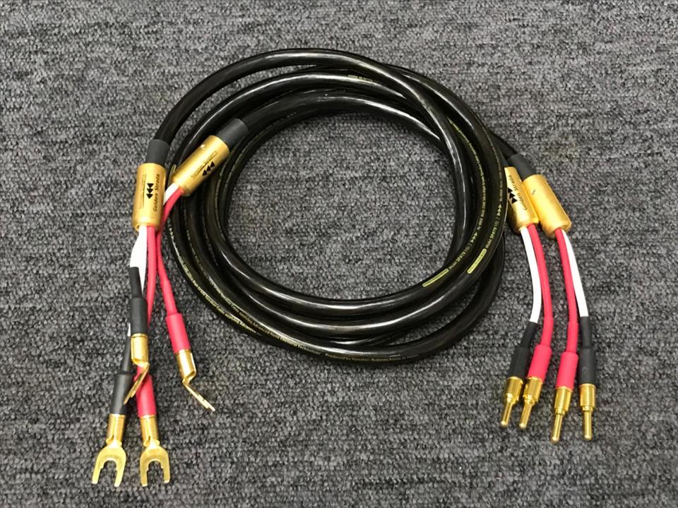 Golden Strada SP#79 MK-2/1.5m Nanotec Systems - 中古オーディオ