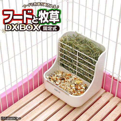 GEX フードと牧草DX BOX 固定式 うさぎ 食器 ジェックス | チャーム