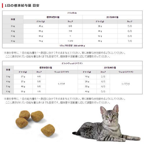 ロイヤルカナン 猫 インドア 7+ 400g 3182550784351 ジップ無し | チャーム