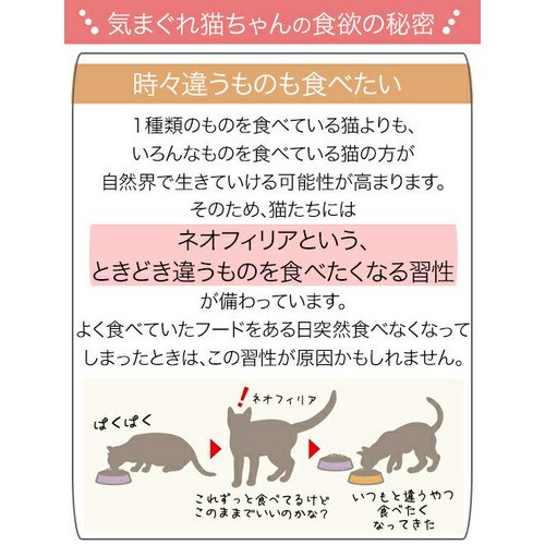 ロイヤルカナン 猫 FHN-WET 室内で生活する成猫用 インドア ゼリー 85g