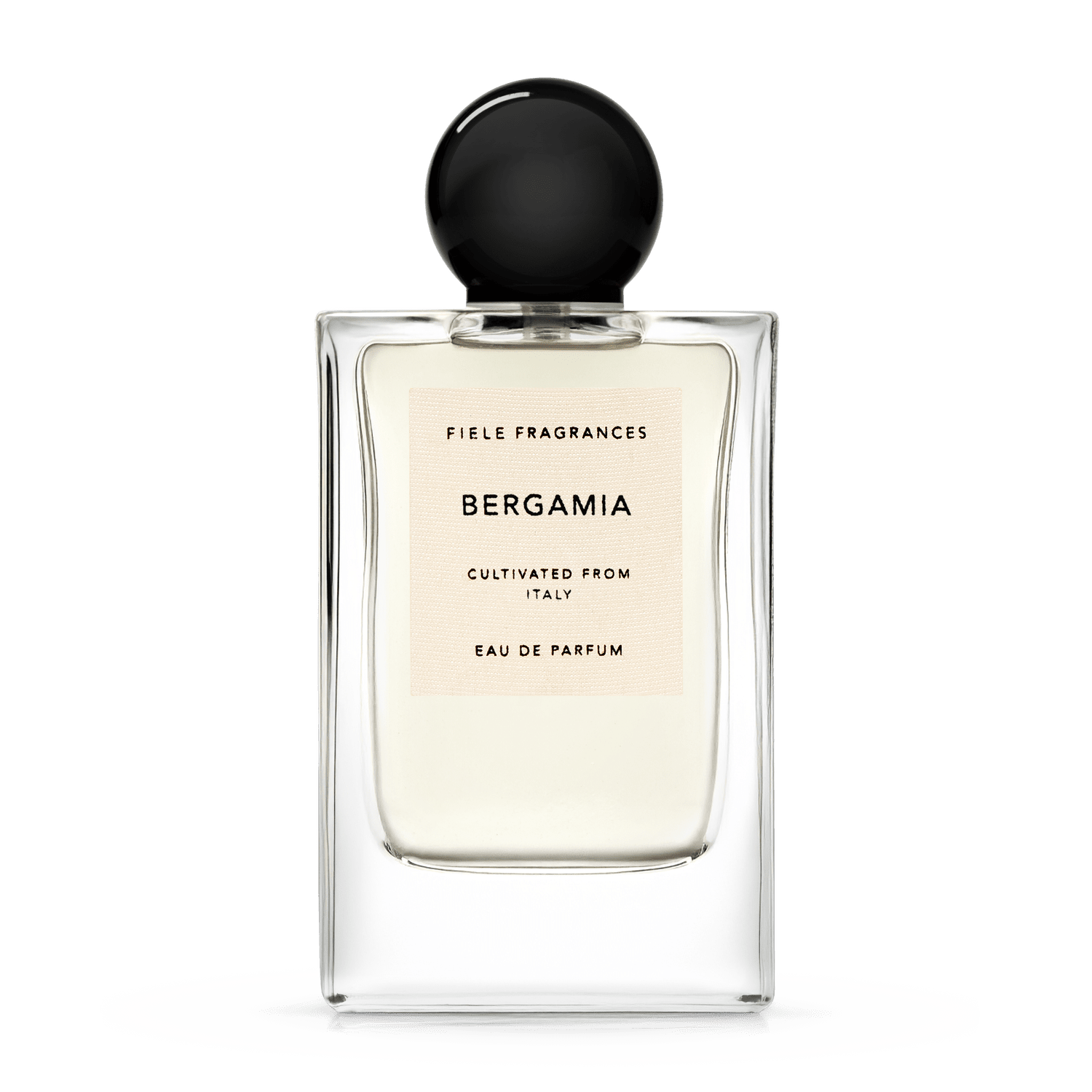 Fiele Fragrances - MENTHA Eau de Parfum | CAPSULE PARFUMERIE