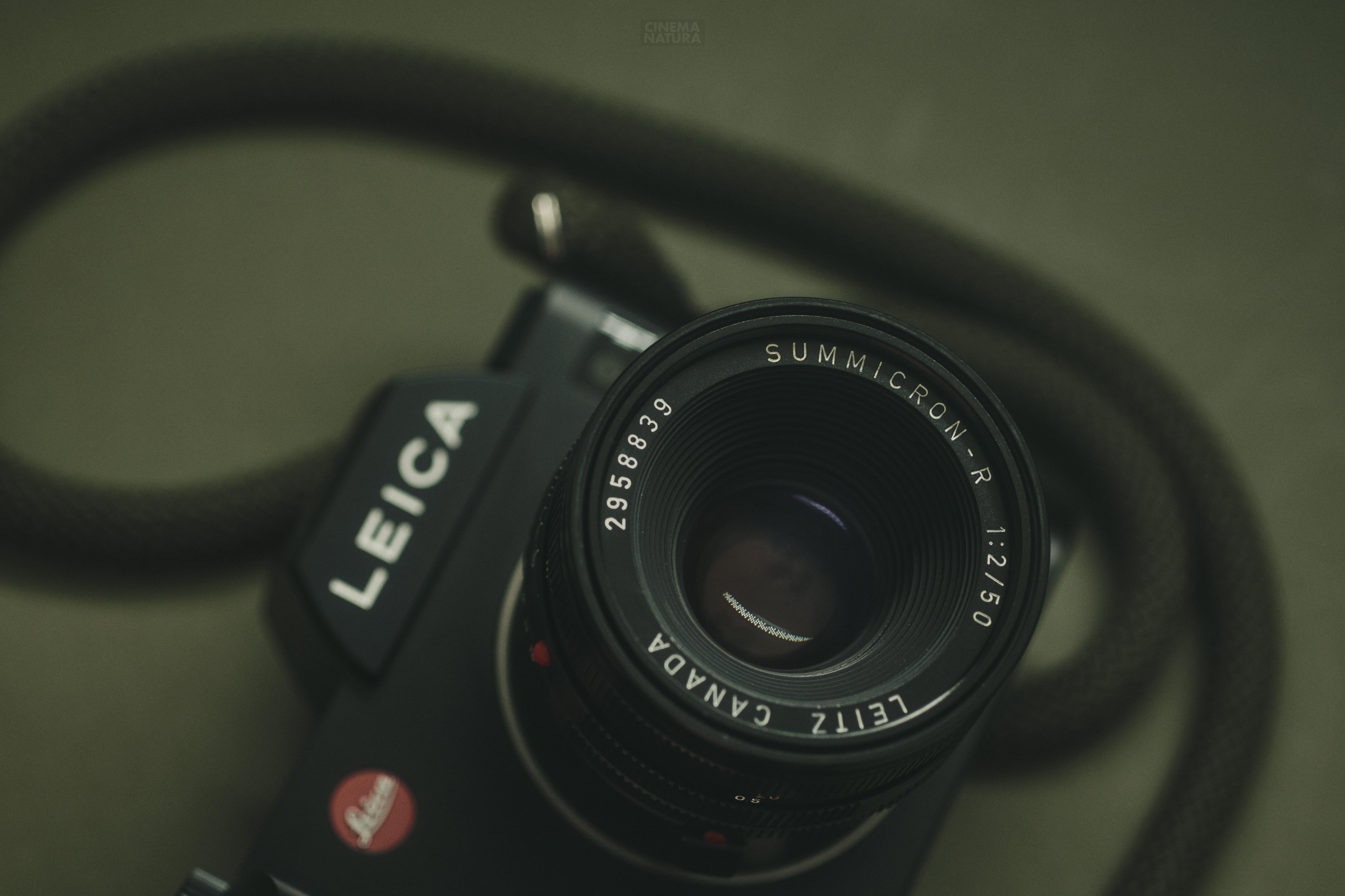 The Leica Summicron-R 50mm f/2 II + the Leica SL (Typ 601