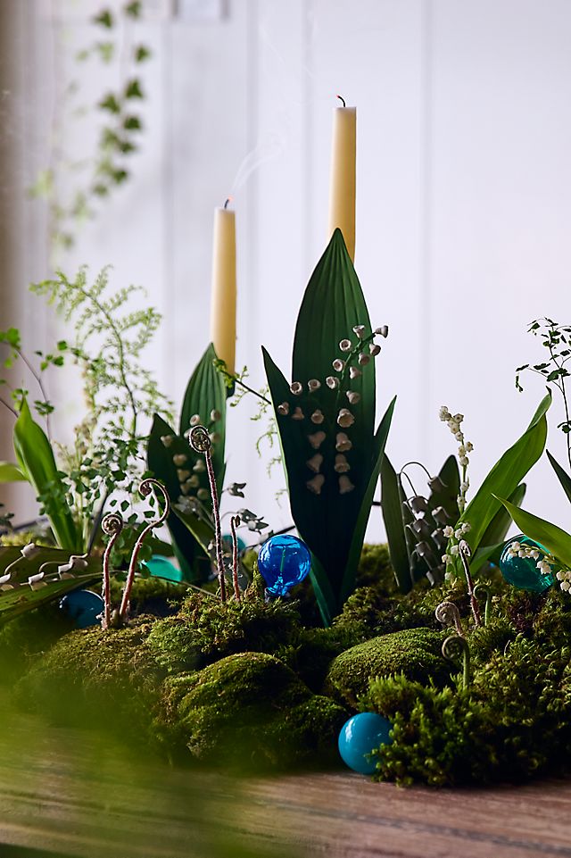 Stargazer Garden Lights, Set of 21 Bulbs, Northern Lights | AnthroHome