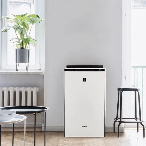 コロナ ReLaLa Nシリーズ エアコン CSH-N2224R-W | イオンスタイル